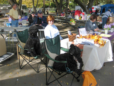 Merchandise Table 2007