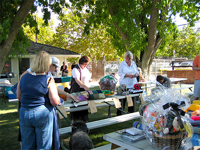 Auction Set-up 2008