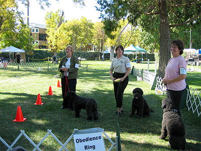 Obedience Ring 2008