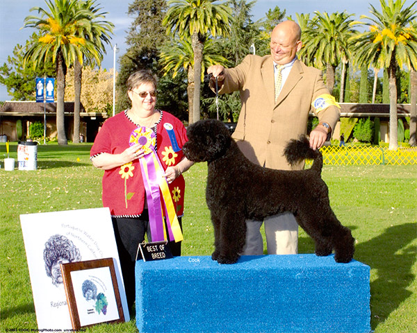 Best of Breed 2003