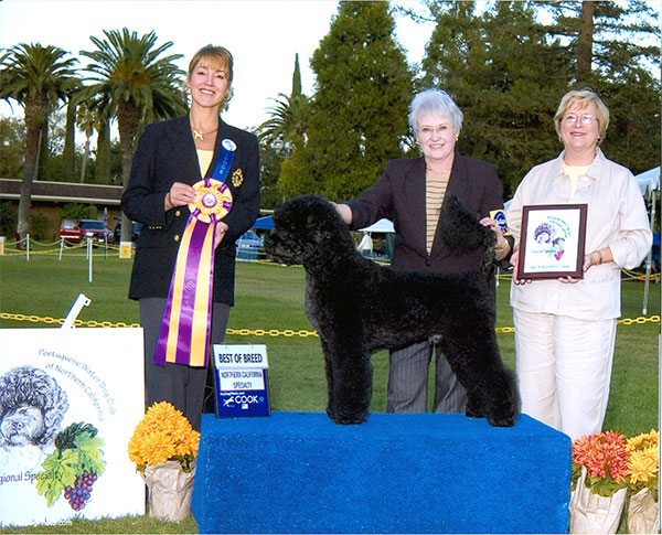 Best of Breed 2004