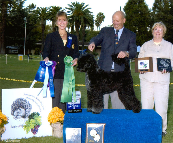 Best of Breed 2004