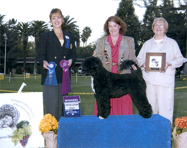 Best of Breed 2004