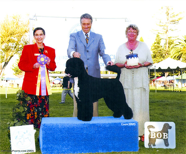 Best of Breed 2005