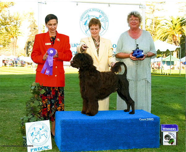 Winners Dog 2005