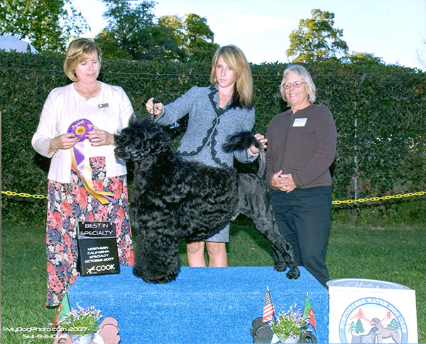 Best of Breed 2007