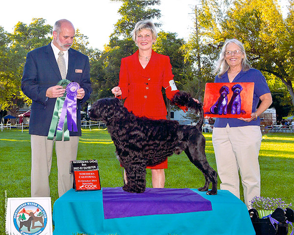 Winners Dog 2011