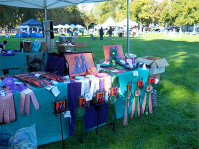 2011 Trophy Table