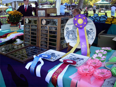 2009 Trophy Table